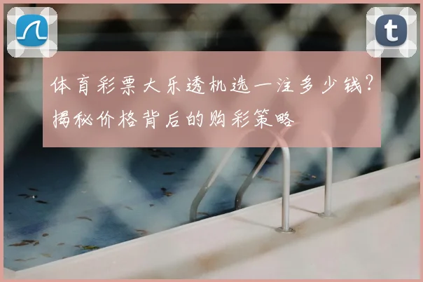 体育彩票大乐透机选一注多少钱？揭秘价格背后的购彩策略