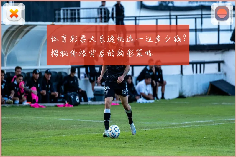 体育彩票大乐透机选一注多少钱？揭秘价格背后的购彩策略